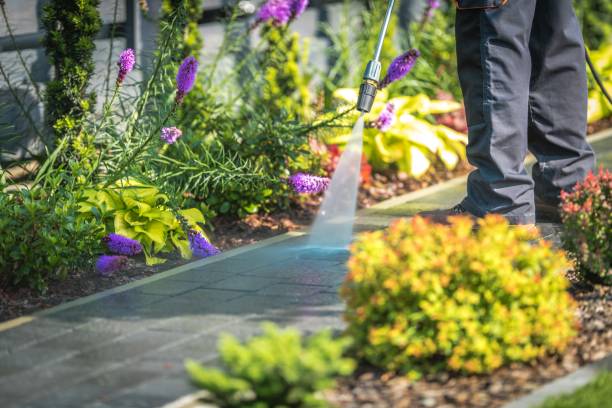 Best Patio and Deck Pressure Washing  in Oakland, NE